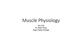 Muscle Physiology Bio 219 Dr