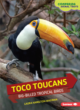 Toco Toucans: Big-Billed Tropical Birds Waxman This Page Intentionally Left Blank Toco Toucans Big-Billed Tropical Birds