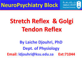 Stretch Reflex & Golgi Tendon Reflex