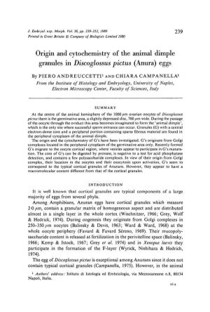 Origin and Cytochemistry of the Animal Dimple Granules in Discoglossus Pictus (Anura) Eggs