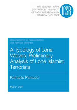 Preliminary Analysis of Lone Islamist Terrorists