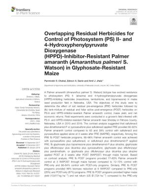 (HPPD) Inhibitor-Resistant Palmer Amaranth in Glyphosate-Resistant Maize in ﬁeld Experiments Conducted in 2015 and 2016 in Nebraska, Usaa