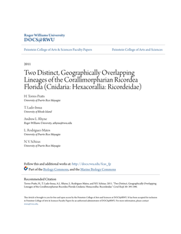 Two Distinct, Geographically Overlapping Lineages of the Corallimorpharian Ricordea Florida (Cnidaria: Hexacorallia: Ricordeidae) H
