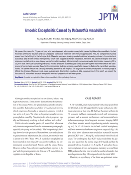 Amoebic Encephalitis Caused by Balamuthia Mandrillaris