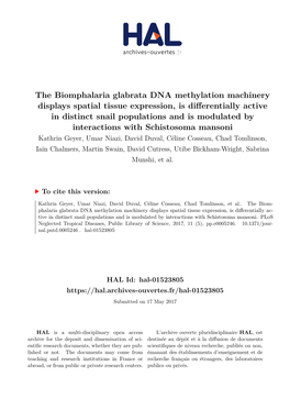 The Biomphalaria Glabrata DNA Methylation Machinery Displays