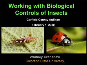 Working with Biological Controls of Insects Garfield County Agexpo February 1, 2020