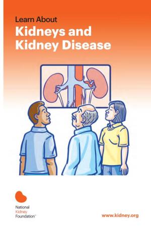 Kidneys and Kidney Disease Kidneys And
