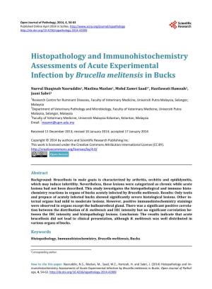 Histopathology and Immunohistochemistry Assessments of Acute Experimental Infection by Brucella Melitensis in Bucks