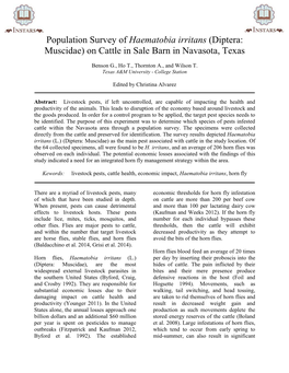 Population Survey of Haematobia Irritans (Diptera: Muscidae) on Cattle in Sale Barn in Navasota, Texas