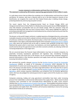 Investor Statement on Deforestation and Forest Fires in the Amazon This Statement Is Endorsed by 230 Investors Representing Approximately US $16.2 Trillion in Assets