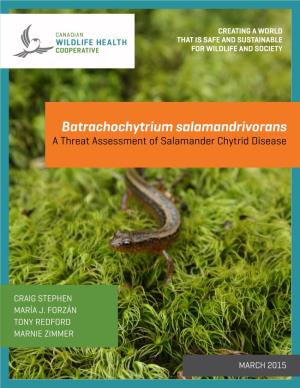 Batrachochytrium Salamandrivorans a Threat Assessment of Salamander Chytrid Disease