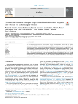 Diverse RNA Viruses of Arthropod Origin in the Blood of Fruit Bats Suggest a Link Between Bat and Arthropod Viromes T