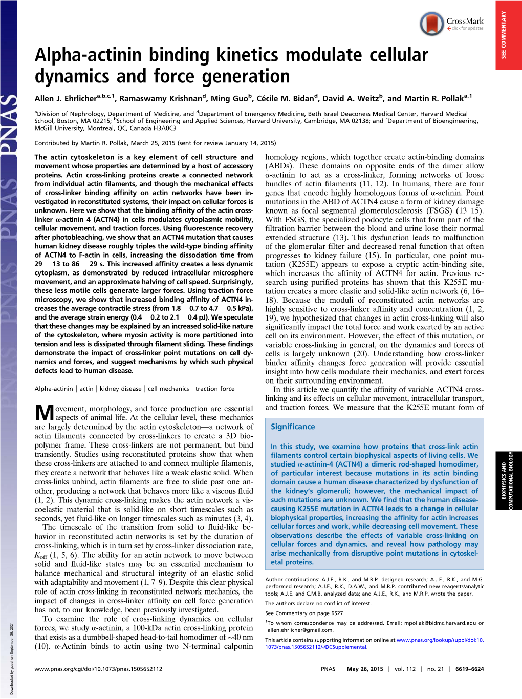 Alpha-Actinin Binding Kinetics Modulate Cellular Dynamics And