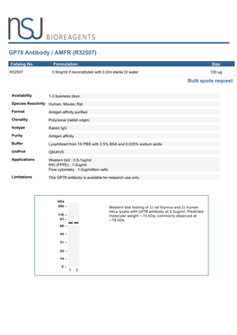 GP78 Antibody / AMFR (R32507)
