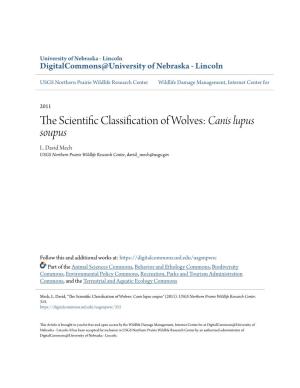 The Scientific Classification of Wolves: &lt;I&gt;Canis Lupus Soupus&lt;/I&gt;