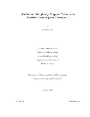 Studies on Marginally Trapped Tubes with Positive Cosmological Constant Λ