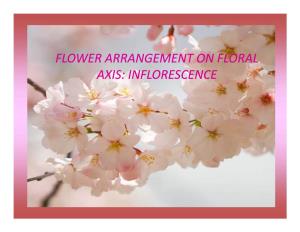 Flower Arrangement on Floral Axis: Inflorescence Inflorescence