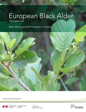 European Black Alder (Alnus Glutinosa)