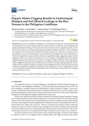 Organic Matter Clogging Results in Undeveloped Hardpan and Soil Mineral Leakage in the Rice Terraces in the Philippine Cordilleras