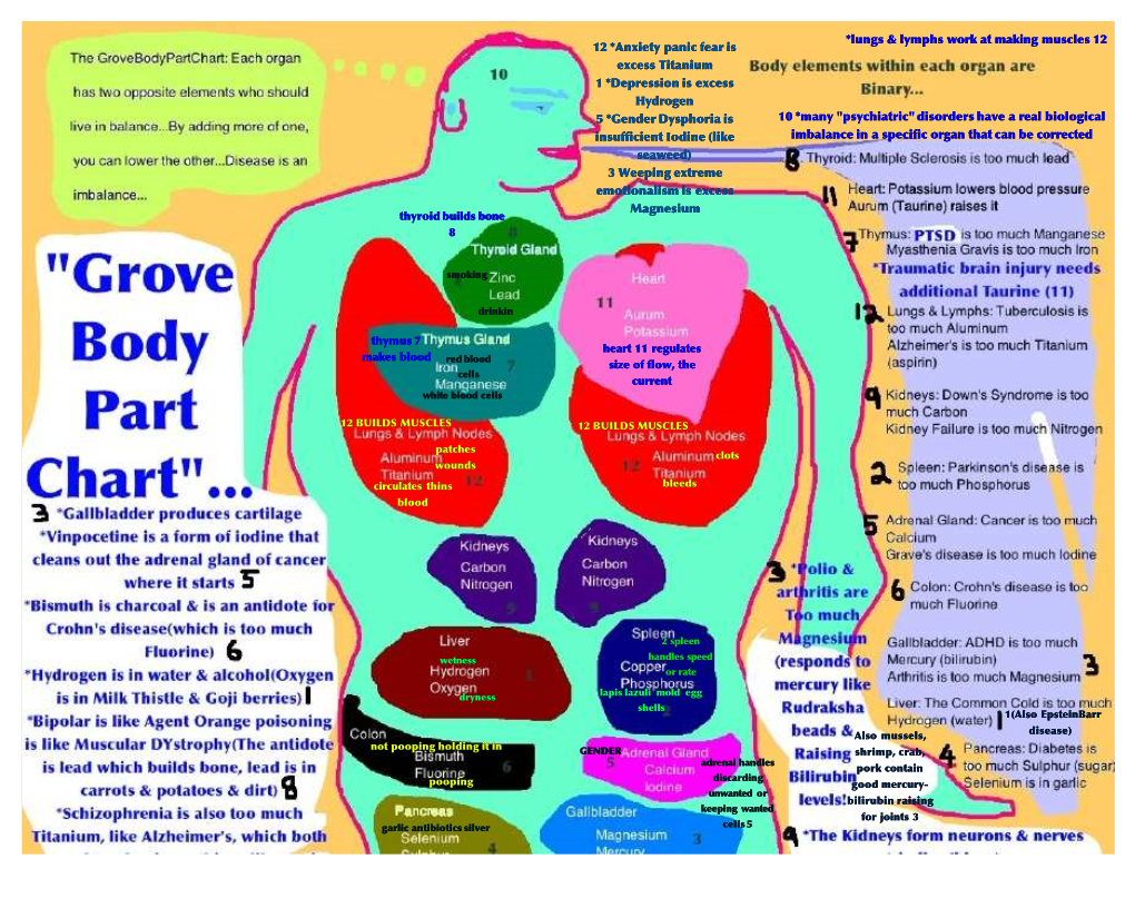 10 *Many "Psychiatric" Disorders Have a Real Biological Imbalance in a Specific Organ That Can Be Corrected *Lungs