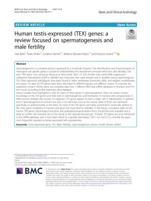 (TEX) Genes: a Review Focused on Spermatogenesis and Male Fertility