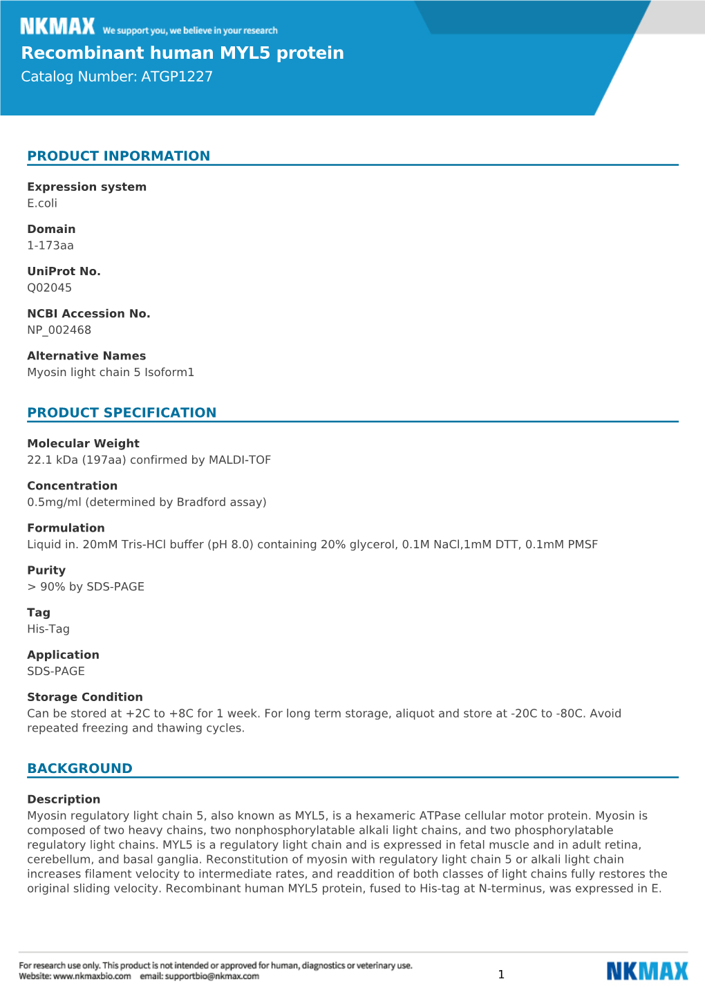 Recombinant Human MYL5 Protein Catalog Number: ATGP1227