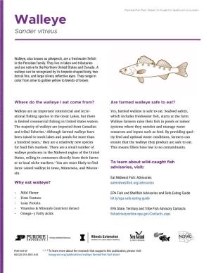Walleye Farmed Fish Fact Sheet: a Guide for Seafood Consumers