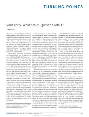 Virus Entry: What Has Ph Got to Do with It?