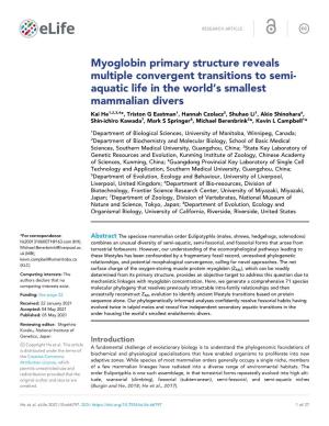 Myoglobin Primary Structure Reveals Multiple Convergent Transitions To