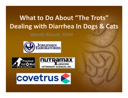 Dealing with Diarrhea in Dogs & Cats
