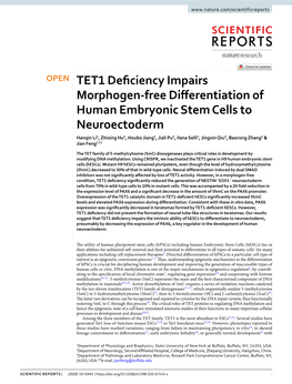 TET1 Deficiency Impairs Morphogen-Free Differentiation Of