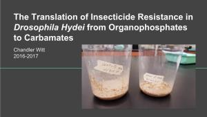 The Translation of Insecticide Resistance in Drosophila Hydei from Organophosphates to Carbamates Chandler Witt 2016-2017 Increase in Insecticide Resistance