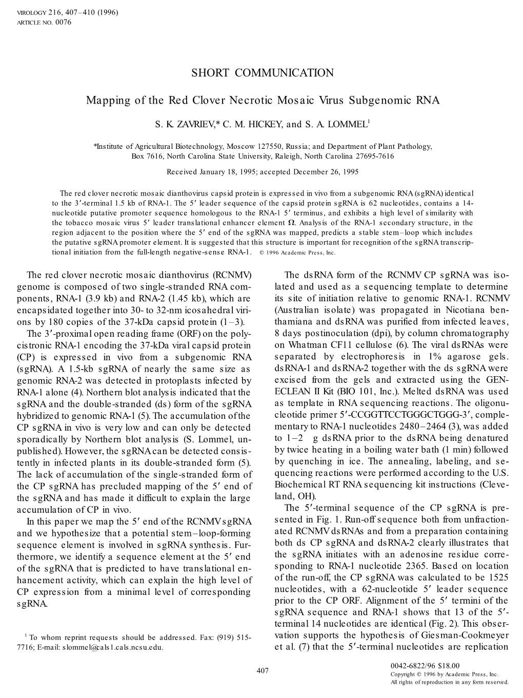 Mapping of the Red Clover Necrotic Mosaic Virus Subgenomic RNA