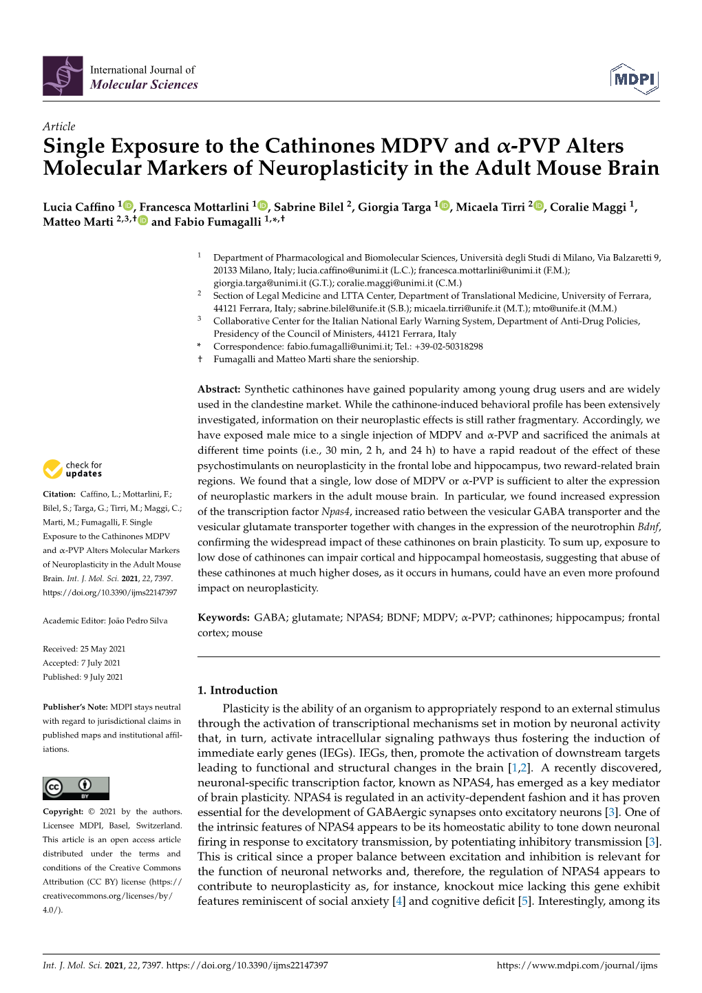 Single Exposure to the Cathinones MDPV and Α-PVP Alters Molecular Markers of Neuroplasticity in the Adult Mouse Brain