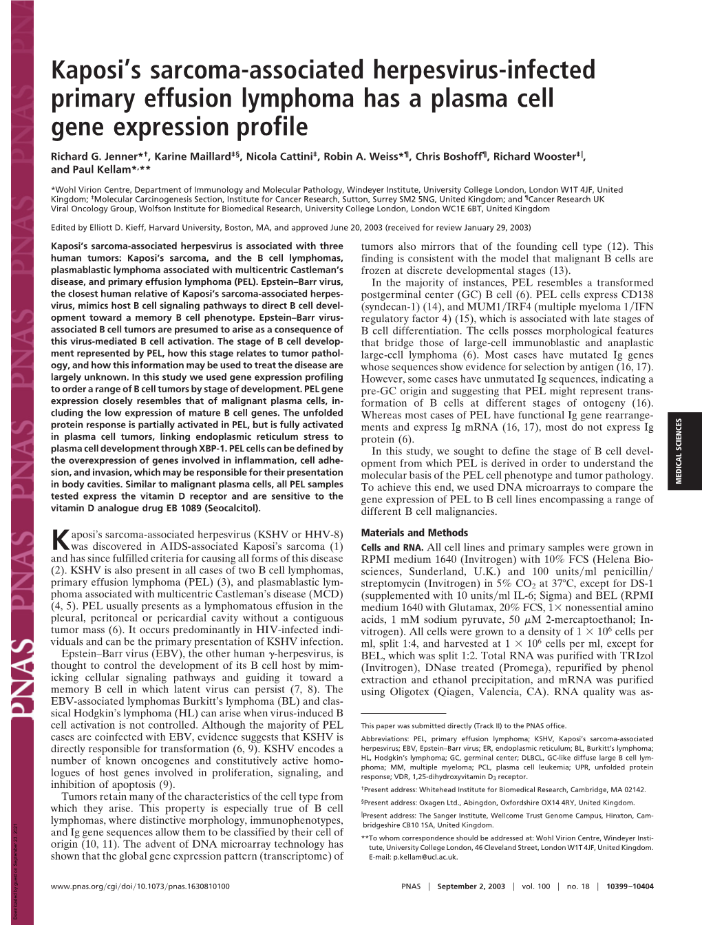 Kaposi's Sarcoma-Associated Herpesvirus-Infected Primary