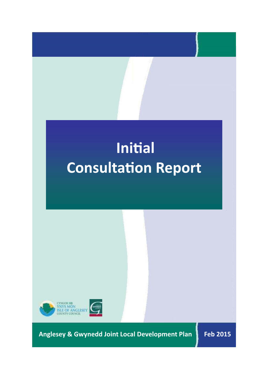 Preliminary Consultation Report