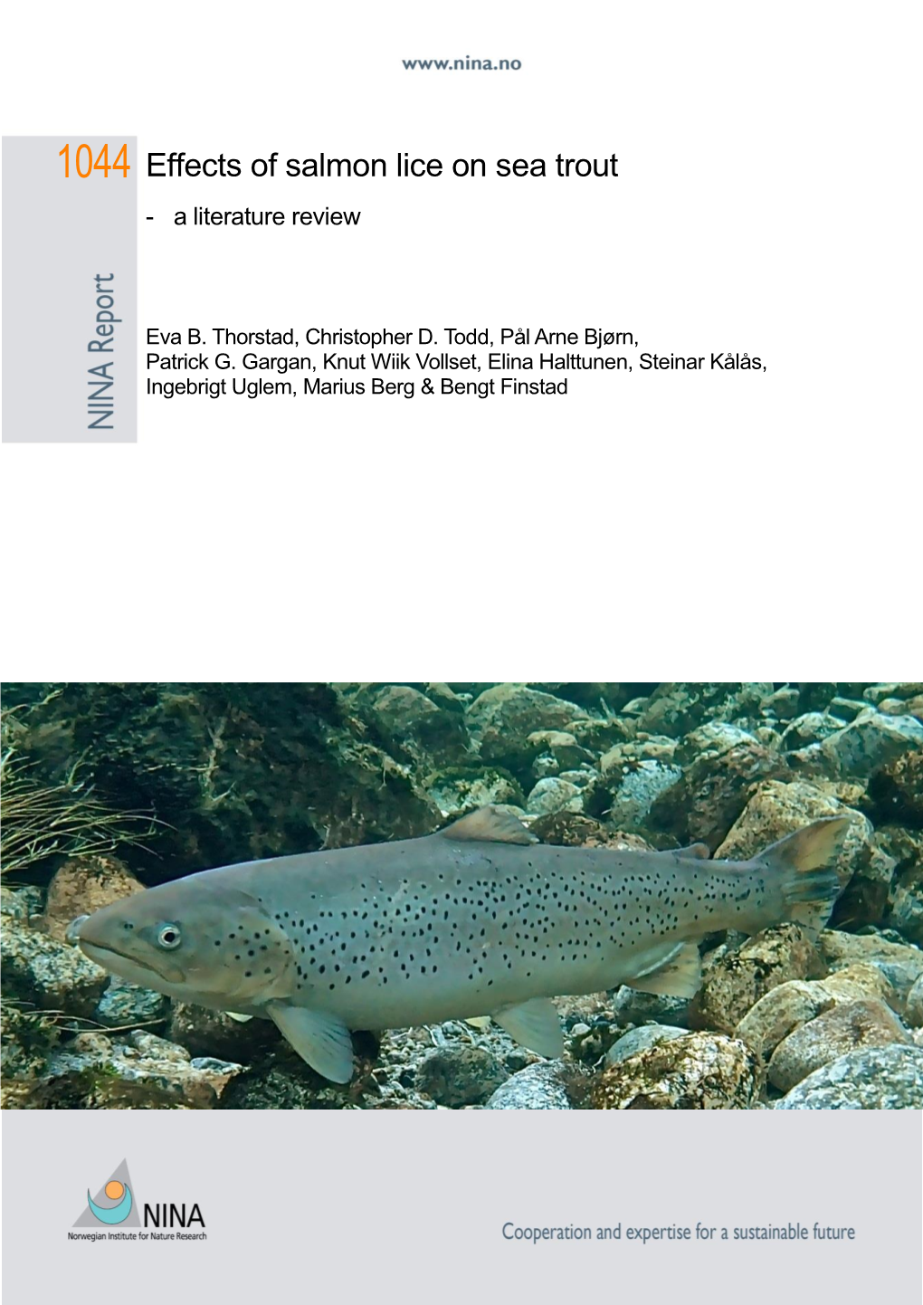 Effects of Salmon Lice on Sea Trout