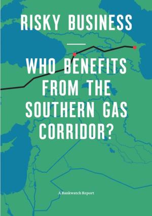 Who Benefits from the Southern Gas Corridor?