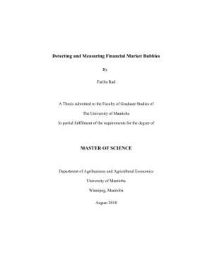 Detecting and Measuring Financial Market Bubbles