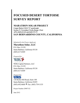 Focused Desert Tortoise Survey Report