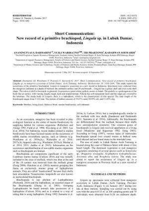 New Record of a Primitive Brachiopod, Lingula Sp. in Lubuk Damar, Indonesia