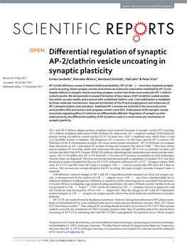 Differential Regulation of Synaptic AP-2/Clathrin Vesicle Uncoating In