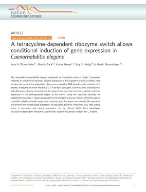 A Tetracycline-Dependent Ribozyme Switch Allows Conditional Induction of Gene Expression in Caenorhabditis Elegans