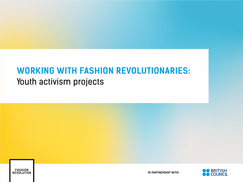 WORKING with FASHION REVOLUTIONARIES: Youth Activism Projects