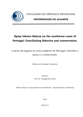 Spiny Lobster Fishery on the Southwest Coast of Portugal
