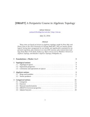 [DRAFT] a Peripatetic Course in Algebraic Topology
