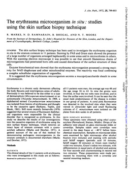 The Erythrasma Microorganism in Situ: Studies Using the Skin Surface Biopsy Technique