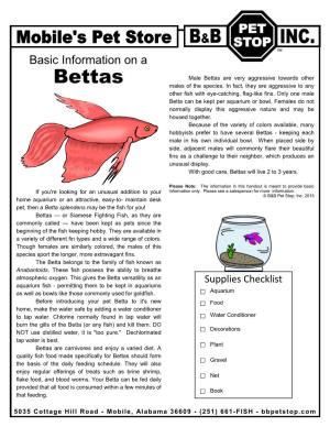Bettas Are Very Aggressive Towards Other Bettas Males of the Species