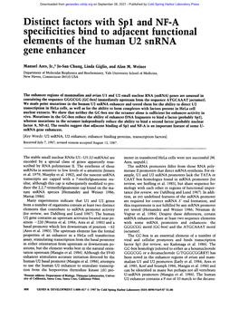 Distinct Factors with Spl and NF-A Specificities Bind to Adjacent Functional Elements of the Human U2 Snrna Gene Enhancer