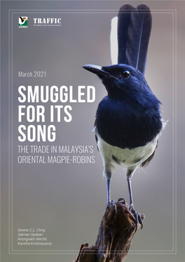 The Trade in Malaysia's Oriental Magpie-Robins
